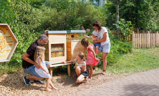 Bee Adventure Trail