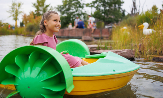 Power Paddle Boats