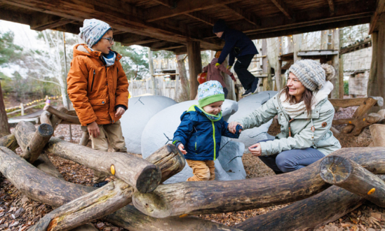 Adventure Tree House with dinos